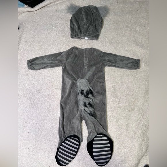 Spirit Gray and Black Raccoon Kids Costume - Picture 3 of 7